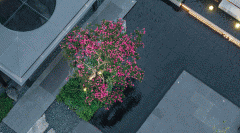 将东方次序之奢宅、园林贯穿至地库